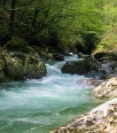 Rijeka Kneza pritok Bace.jpg